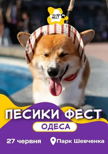 ПЕСИКИ ФЕСТ ОДЕССА