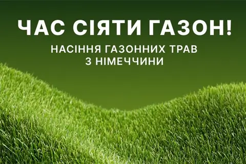 Газон на каждый сезон: какой выбрать, уход и подготовка к зиме