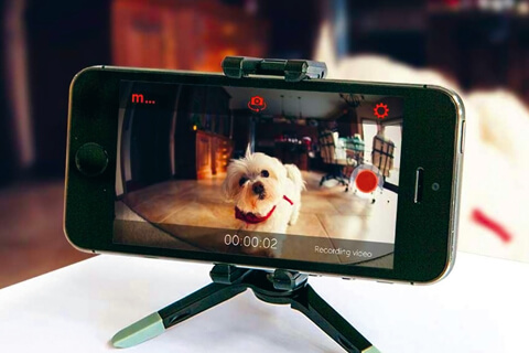 IP-камера из телефона