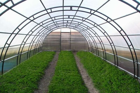 Как выбрать и рассчитать оптимальный размер теплицы