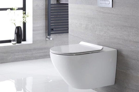 Как выбрать подвесной унитаз