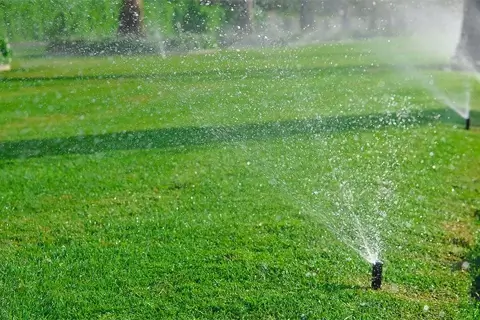 капельный полив картинка