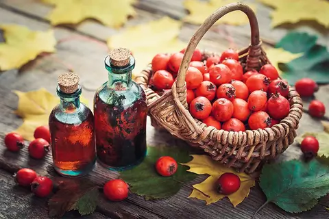 Культура приготовления домашних настоек: секреты мягкого вкуса