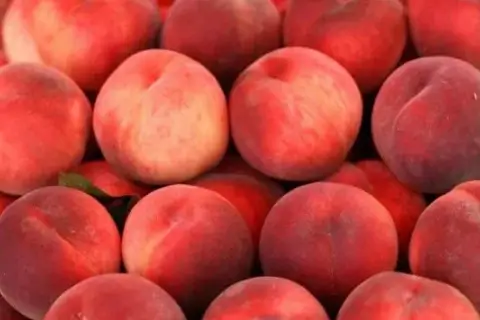 Персик оптом: как выбрать поставщика, удержать качество и снизить списание