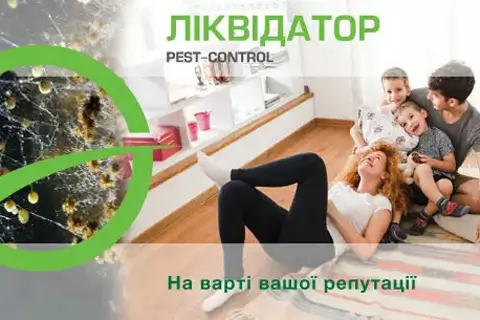 Плесень на кухне: как избавиться и предотвратить появление