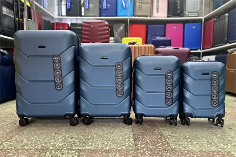 сумка на колесах картинка