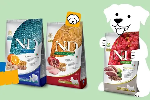 Зоомагазин в Киеве: BestPet – лучший выбор для киевлян с доставкой по Украине