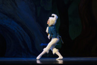 Алиса в стране чудес (балетная студия С.Антиповой)