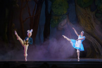 Алиса в стране чудес (балетная студия С.Антиповой)