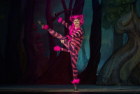 Алиса в стране чудес (балетная студия С.Антиповой)