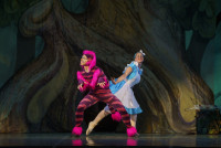 Алиса в стране чудес (балетная студия С.Антиповой)