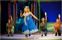 Фиалка Монмартра