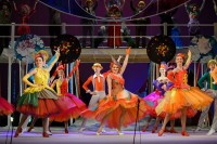 Фиалка Монмартра