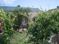 Отдых на Каралино-Бугазе