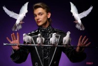 шоу  «Новогодняя иллюзия»