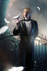 шоу  «Новогодняя иллюзия»