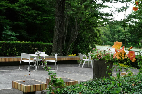 стулья во двор