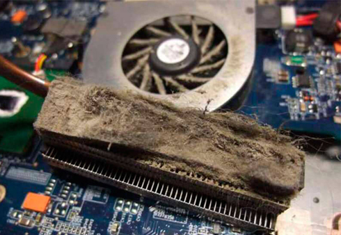 Пыль в ноутбуке