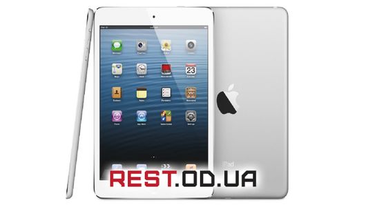 panshet-apple-ipad-5