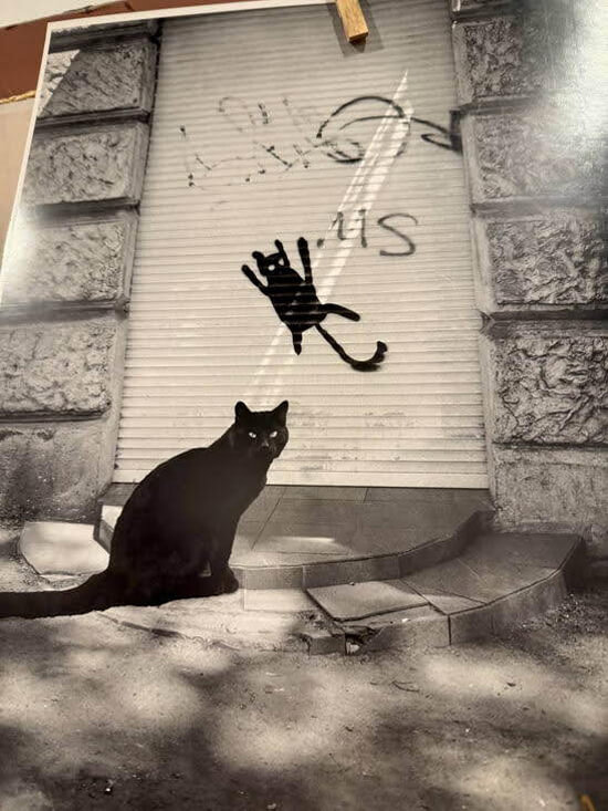 Александр Синельников открыл выставку в Нью-Йорке