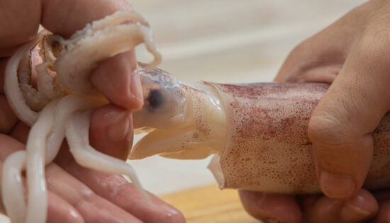 Вот так удаляют внутренности кальмаров