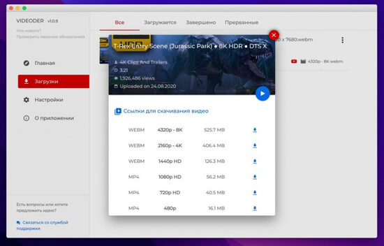 Как скачать видео с YouTube на компьютер с помощью специальных программ