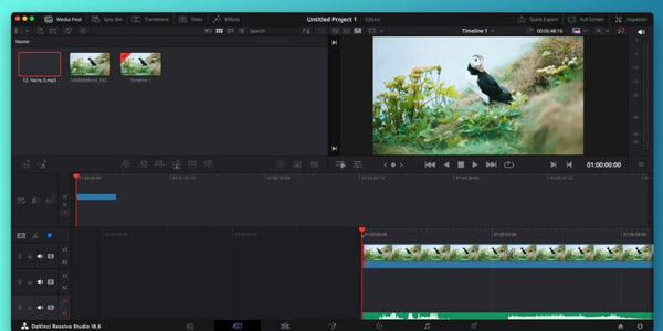 DaVinci Resolve
