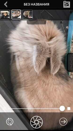 Видео из фото iPhone