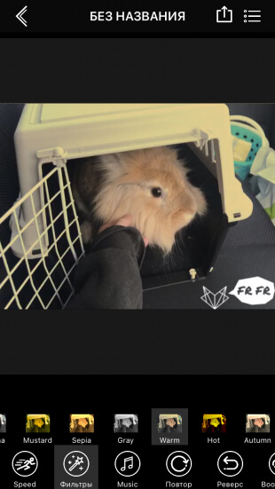 Видео из фото iPhone