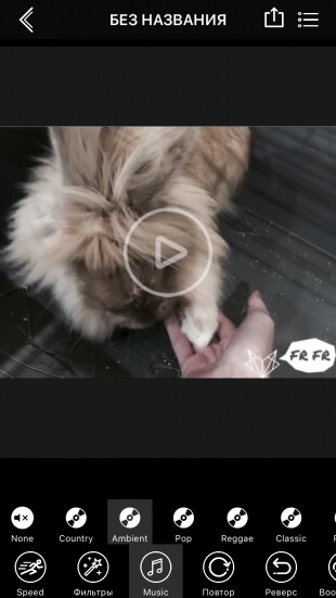 Видео из фото iPhone