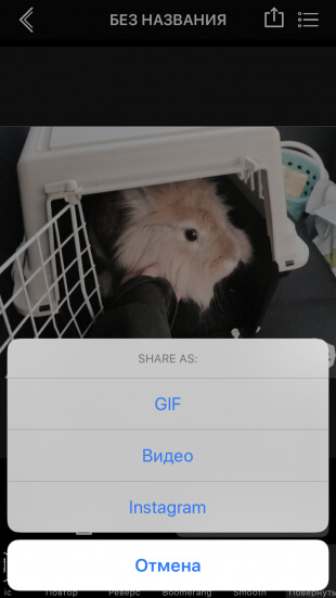 Видео из фото iPhone