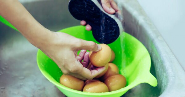 Как варить яйца вкрутую: вымойте