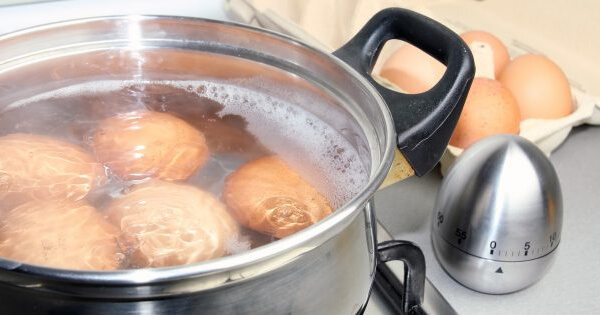 Как и сколько варить яйца на плите