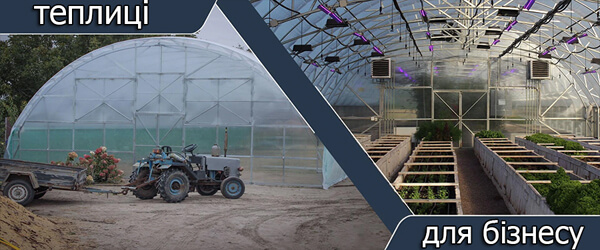 теплицы для бизнеса