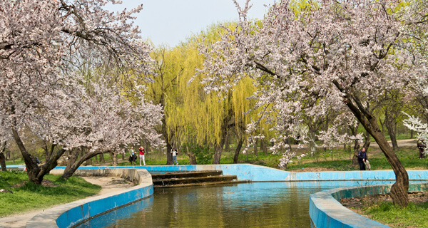 одесский парк Шевченкf