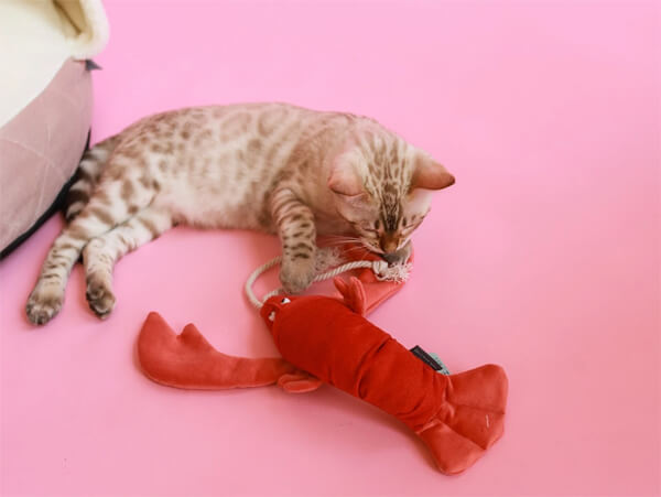 Игрушки для кошек