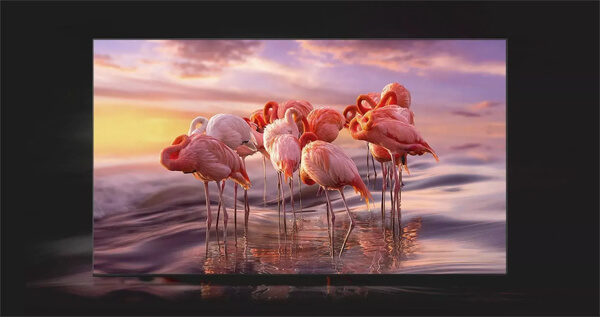 Как правильно выбрать телевизор в 2025 году: все, что нужно знать