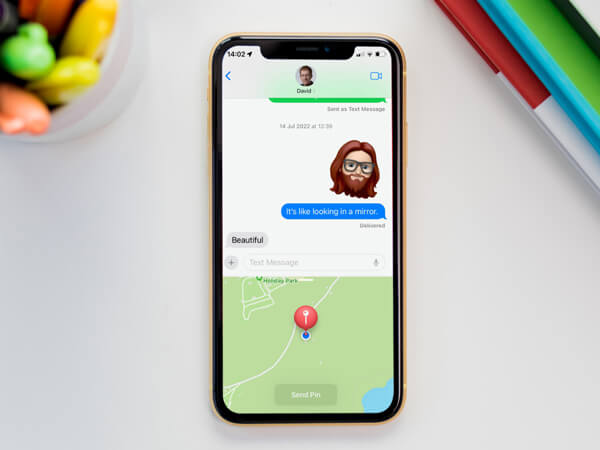 Разделение местоположения один раз на iPhone